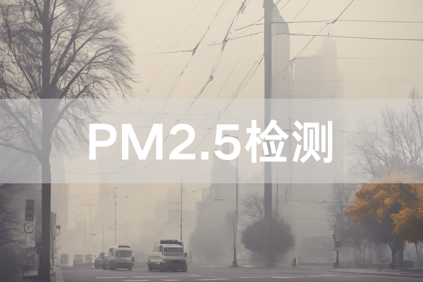 Pm2.5检测